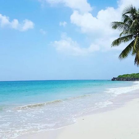 - Les Pieds Dans L'Eau A 50M De La Plage, Cote Mer Caraibe - Domaine De L'Anse Caritan - Sainte-Anne - Exteriér fotografie