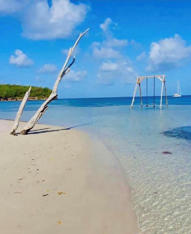 - Les Pieds Dans L'Eau A 50M De La Plage, Cote Mer Caraibe - Domaine De L'Anse Caritan - Sainte-Anne - Exteriér fotografie