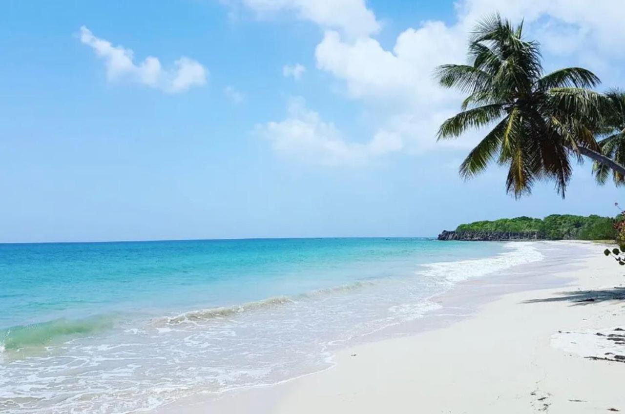 - Les Pieds Dans L'Eau A 50M De La Plage, Cote Mer Caraibe - Domaine De L'Anse Caritan - Sainte-Anne - Exteriér fotografie