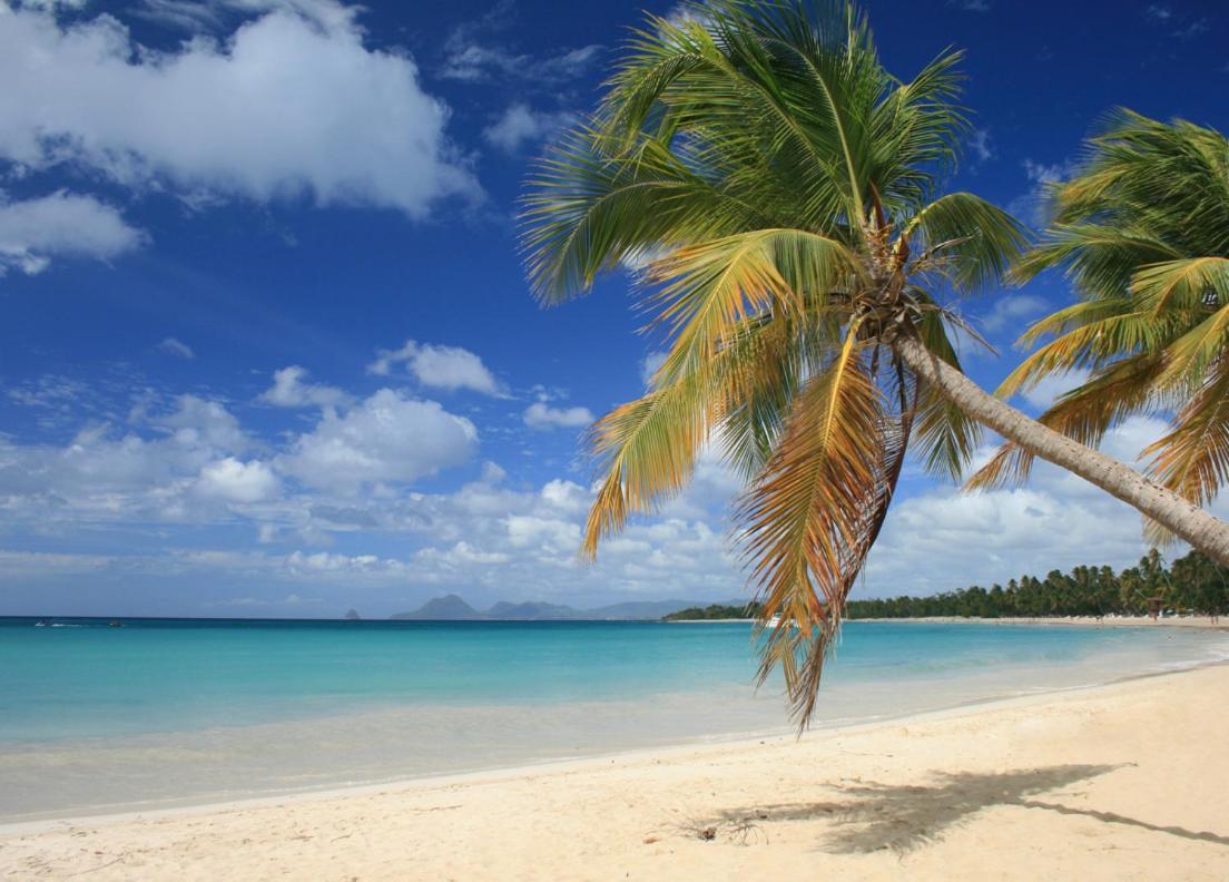 - Les Pieds Dans L'Eau A 50M De La Plage, Cote Mer Caraibe - Domaine De L'Anse Caritan - Sainte-Anne - Exteriér fotografie